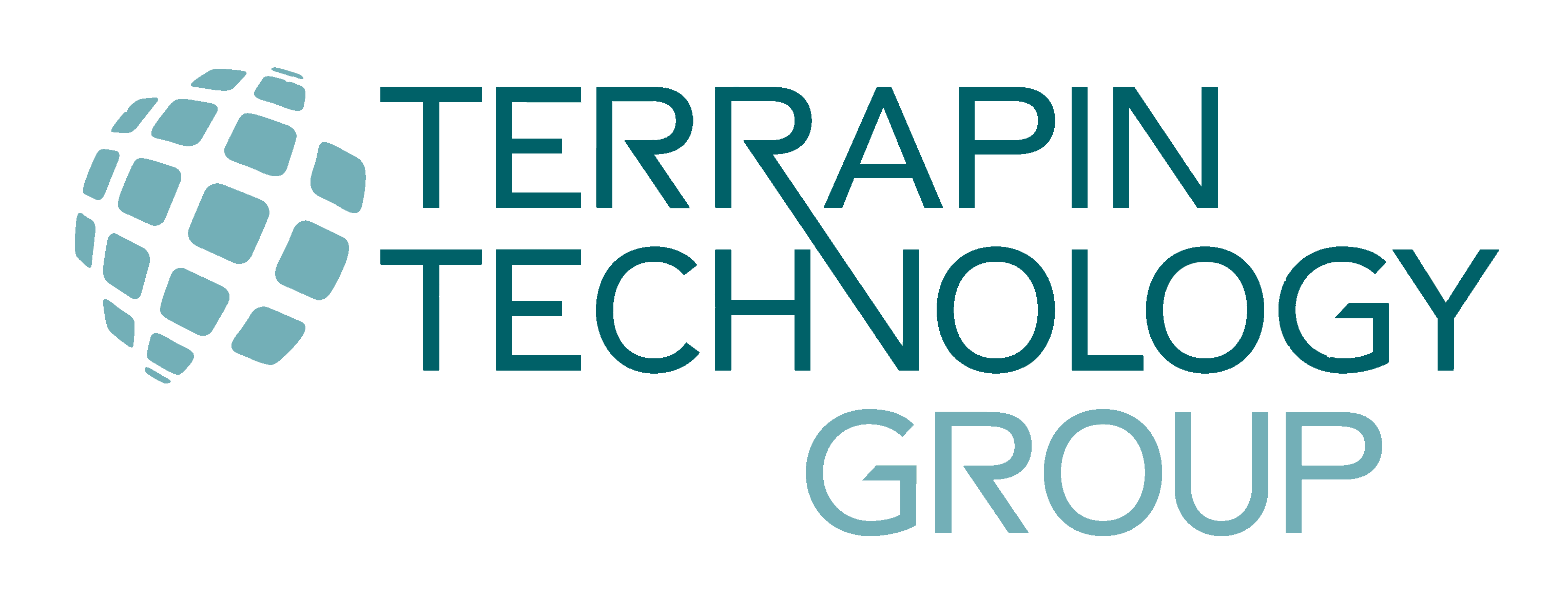 Terrapin Technologies Logo